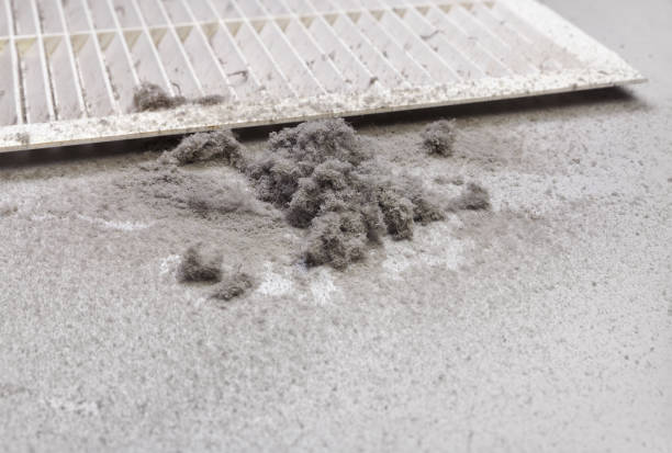Best Professional Duct Cleaning Services  in Grandy, NC