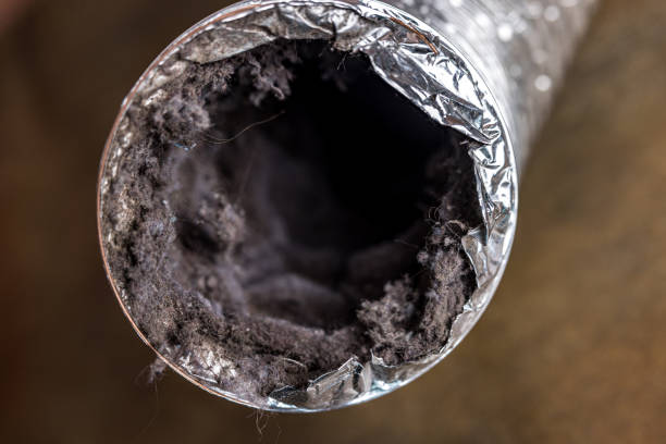 Best Residential Air Duct Cleaning  in Grandy, NC