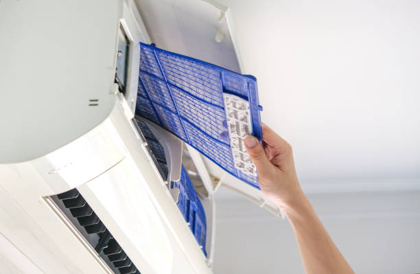 Best Dryer Vent Cleaning Services  in Grandy, NC