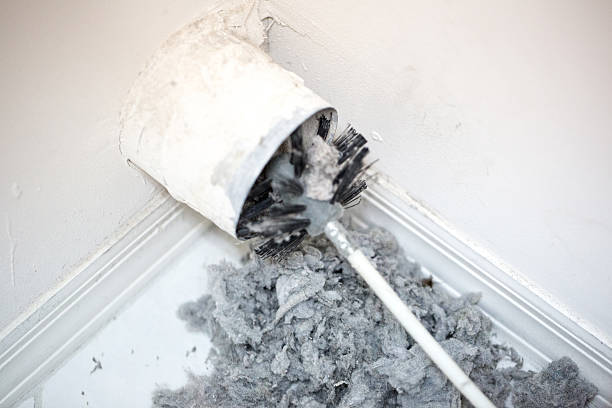 Best Dryer Vent Cleaning Services  in Grandy, NC